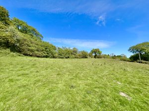 Photo 40- click for photo gallery